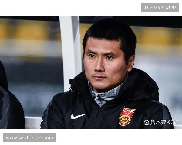 邵佳一在德甲球队中的表现及职业生涯分析